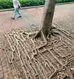 Satisfyingasfuck