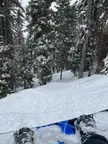 Tahoe this week