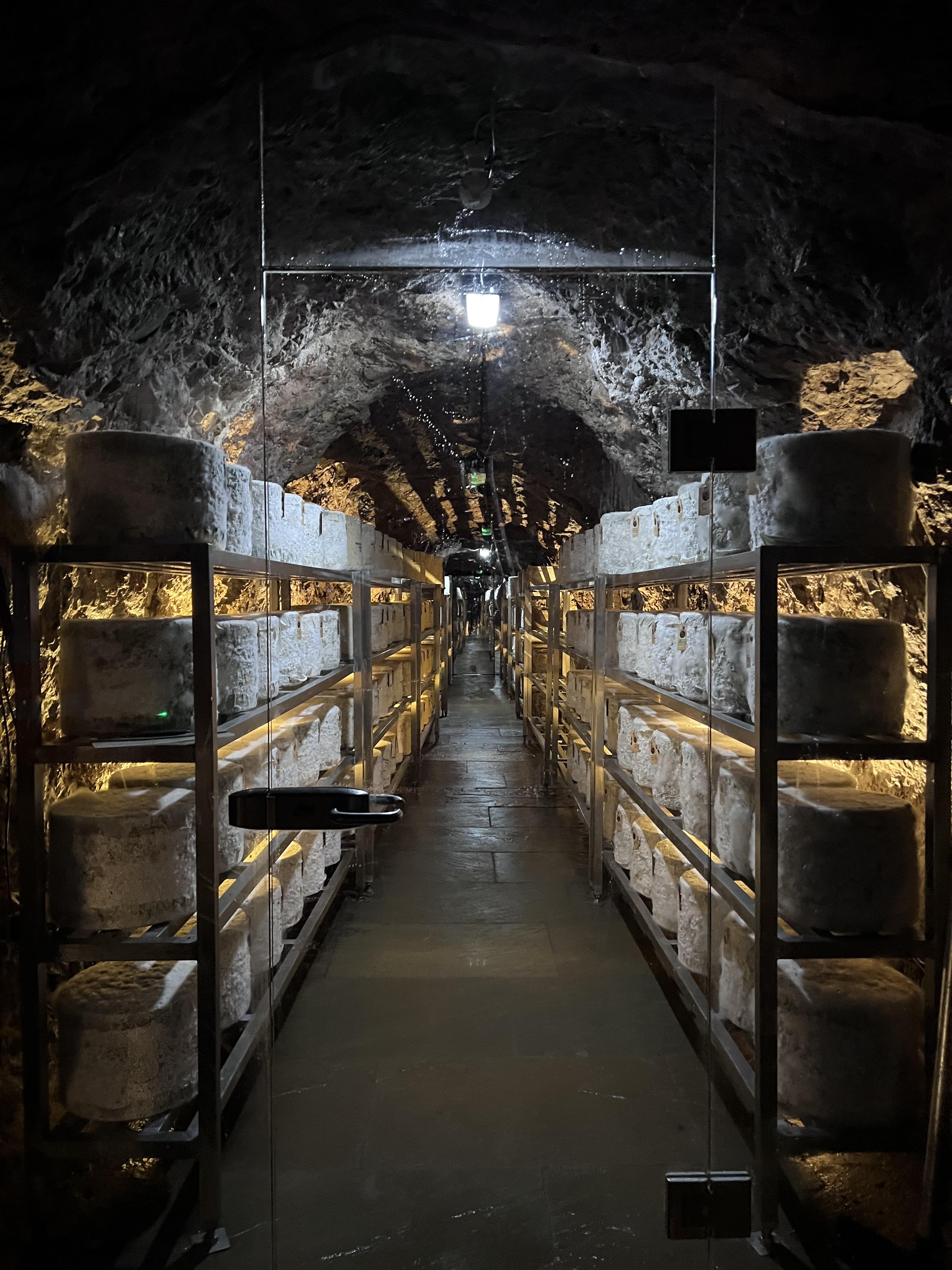 Went to a cave where they had cave aged cheddar cheese and goats cheese ...