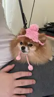 how cute is this hat my mom made her?