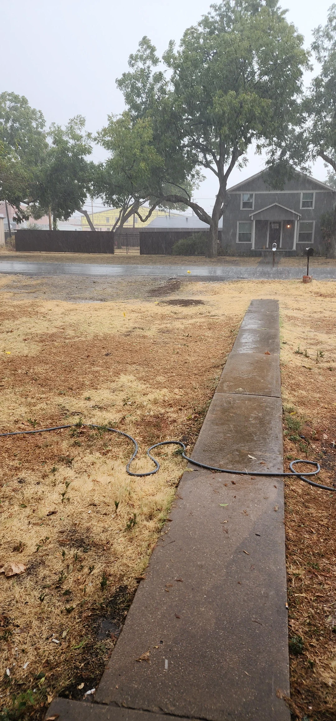 About Time Only Took 2 Months Scrolller