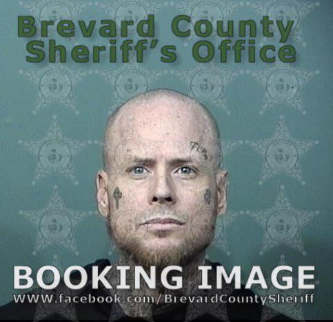 Bruce Nil-less | Scrolller