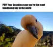 Well... if grandma says so! (OC)