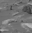 The famous image "Tree on Mars" - Curiosity captured this image on Sol 1647 