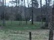 I have not seen the albino deer since last spring. He usually comes when I drill the back pastures.