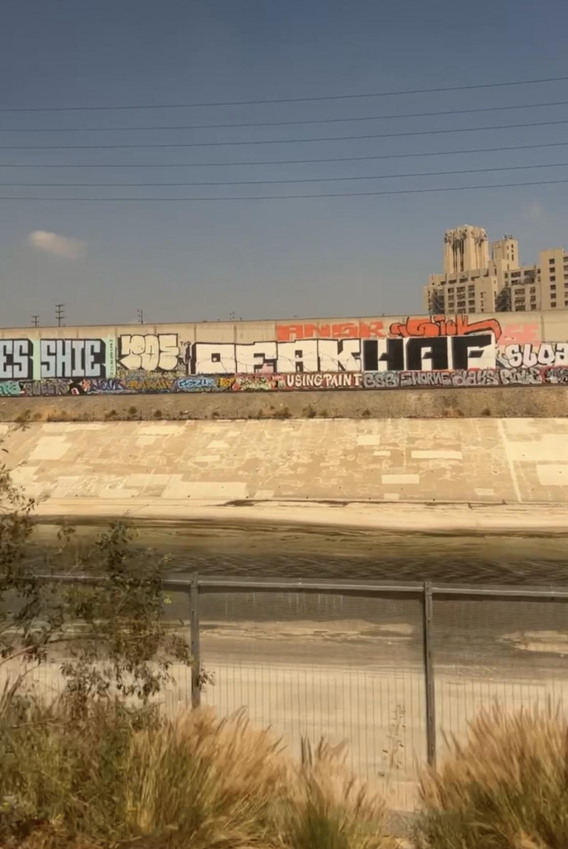 Pretty legendary wall I caught on the train tracks of LA | Scrolller