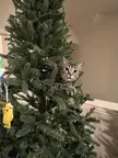 Holly climbed the Christmas tree for the first time and had no idea how to get back down