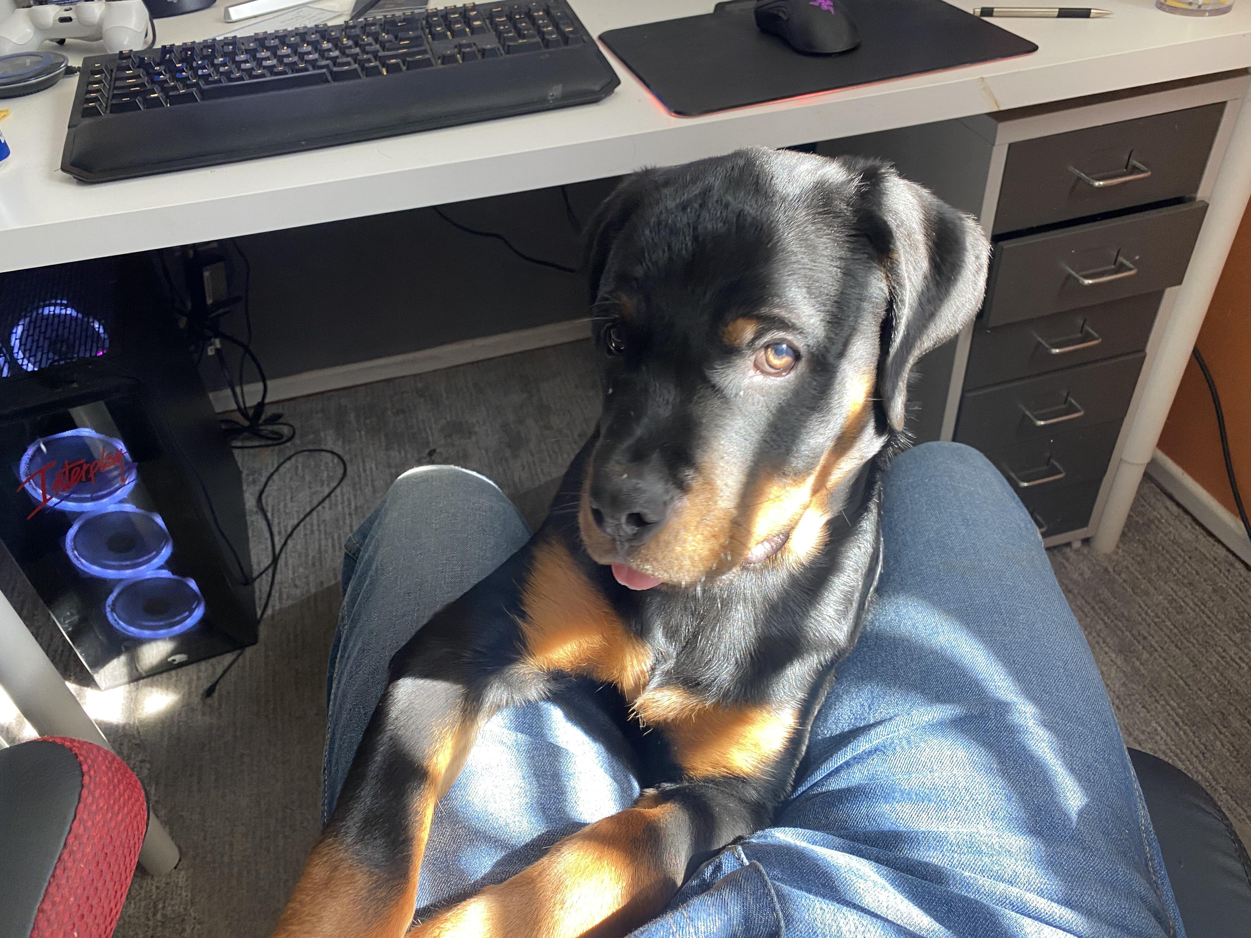 My invasive derp girl