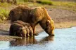 Family drinking water