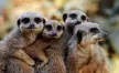Family Time