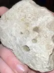 So many beautiful fossils in one place! Amazing.