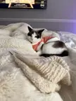 knitting