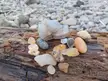 Collection of cool rocks and agates found on the beach (Oregon North Coast, USA)