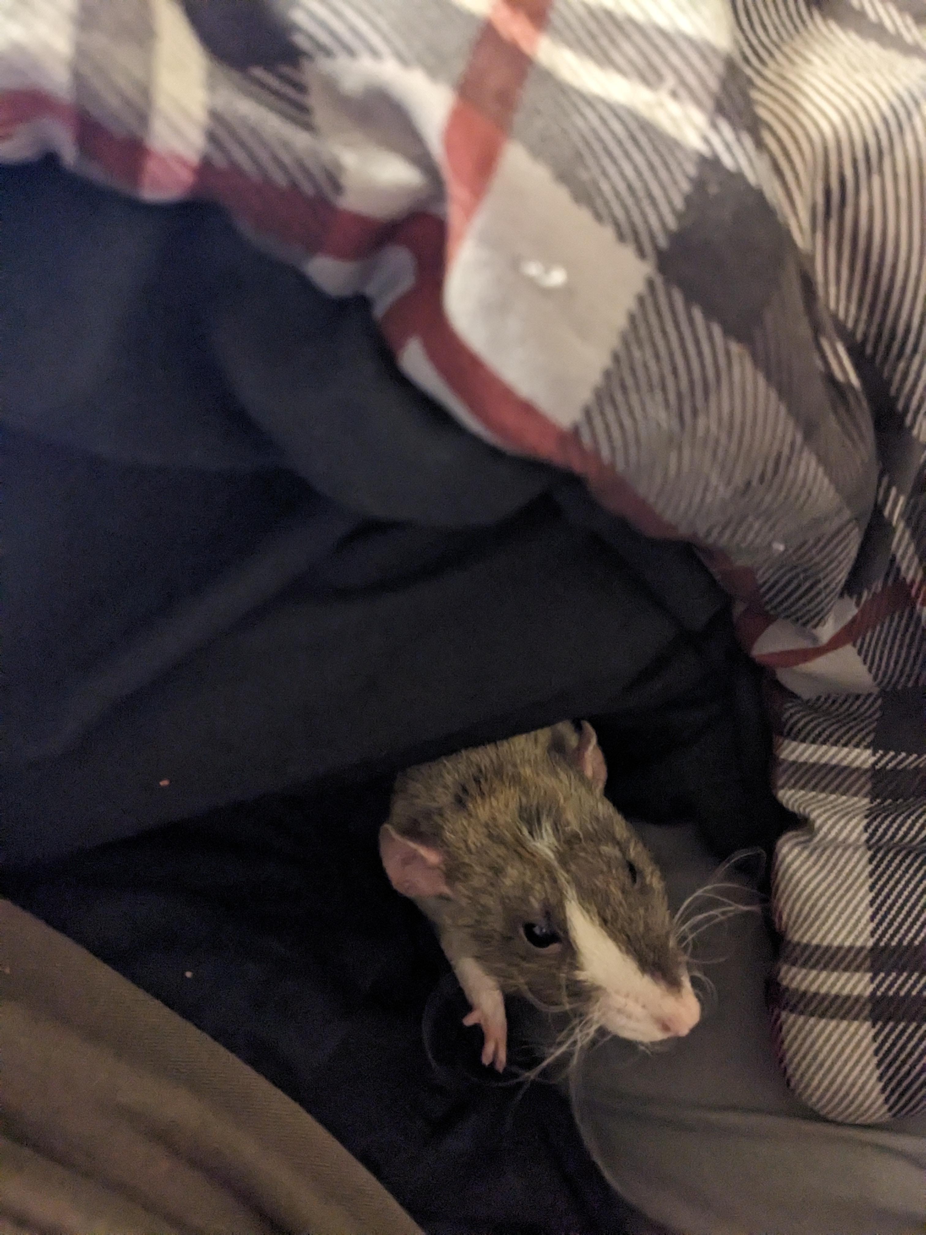 He tried to put my whole thumb in his mouth because he thought it was a pistachio