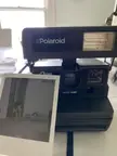 Found an old Polaroid camera so naturally my dog would be the subject to see if it worked
