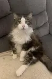 Who, me?