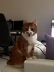 Feed me woman!!!