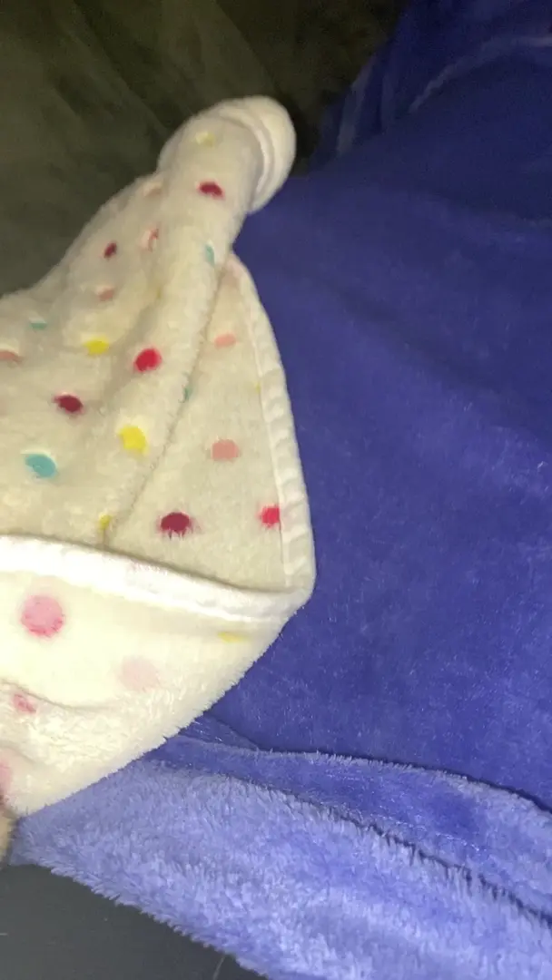 bunnytoes