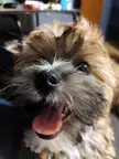 Happy Little Boy