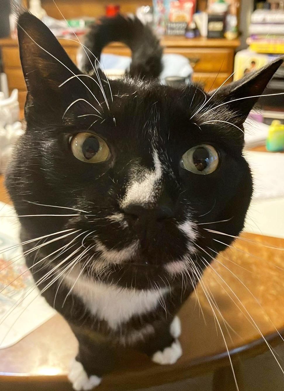Today is Parker's birthday! He's 6 ❤️