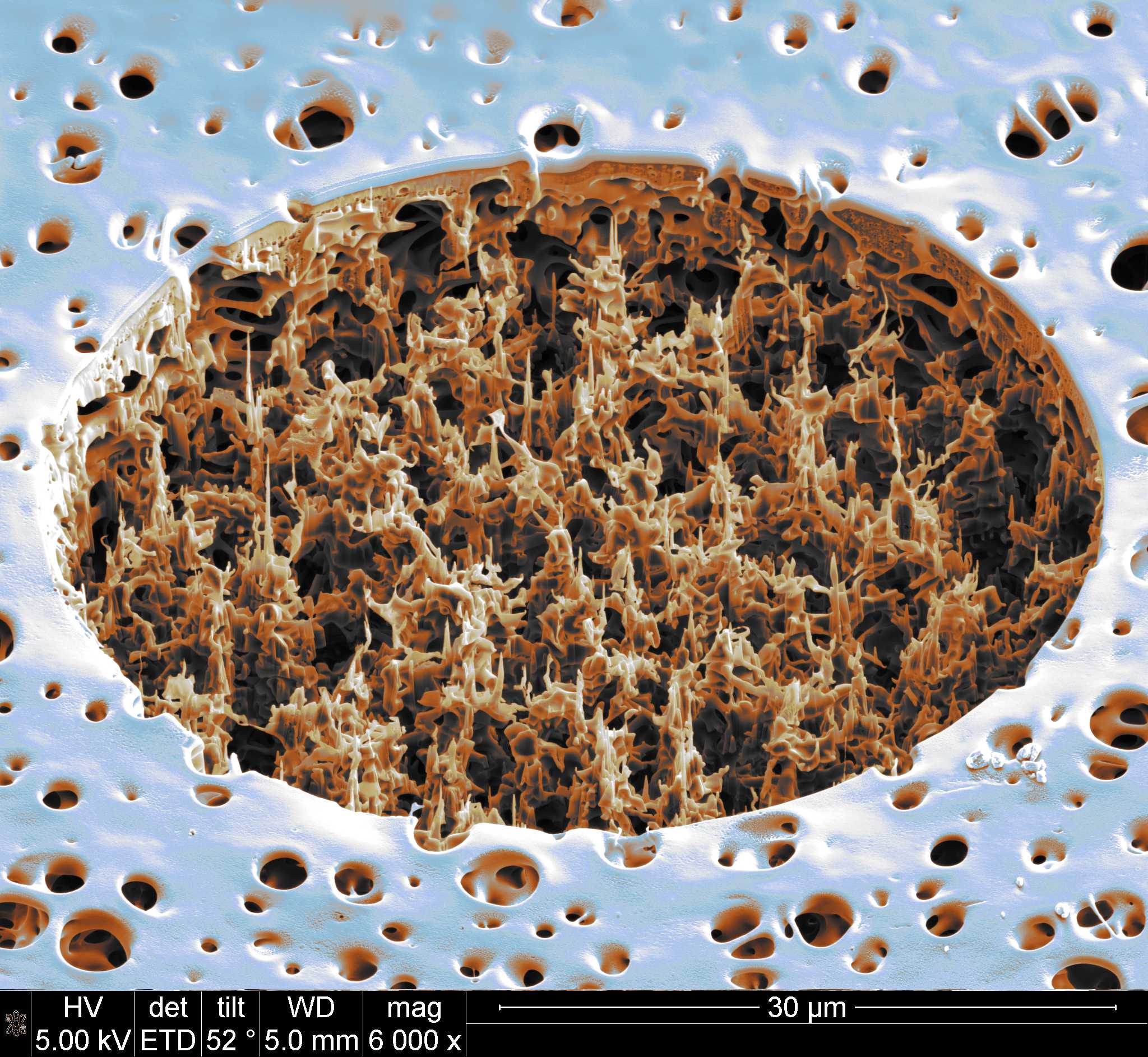 FIB cut on PES filtration Membrane