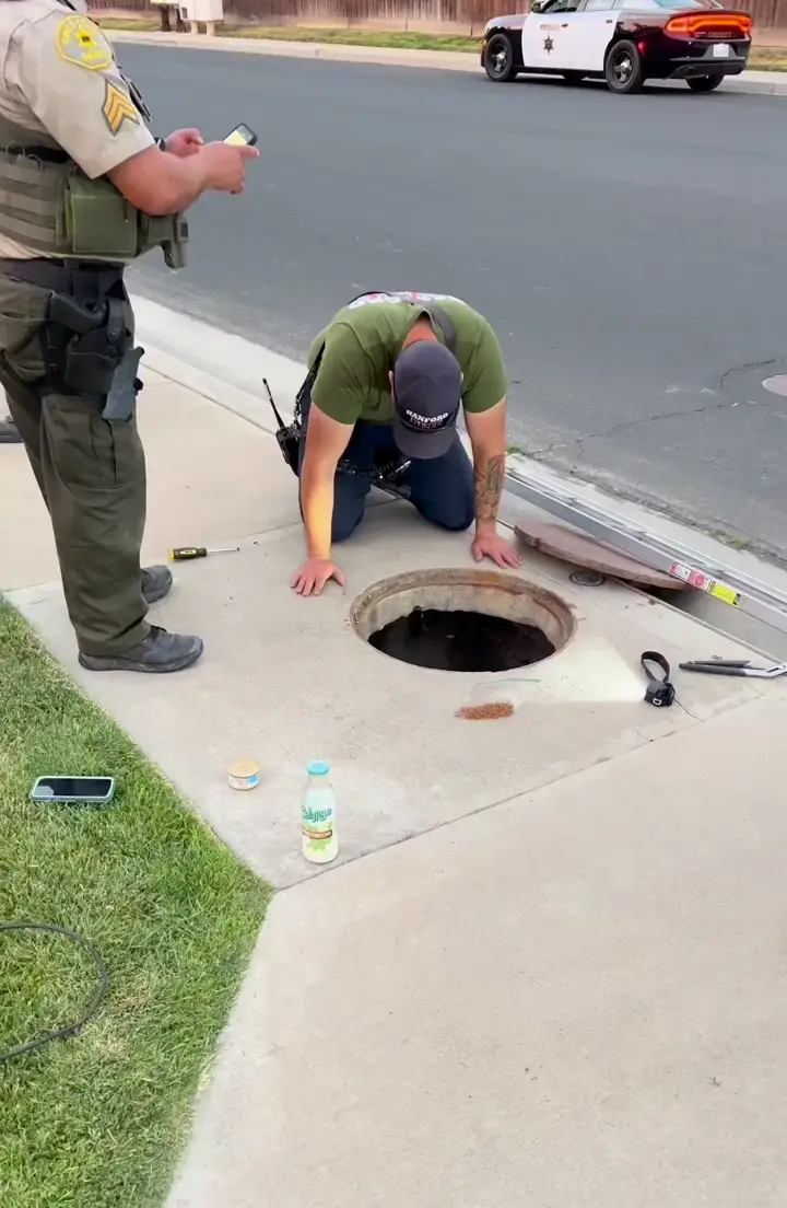 Firefighters save a tiny kitten