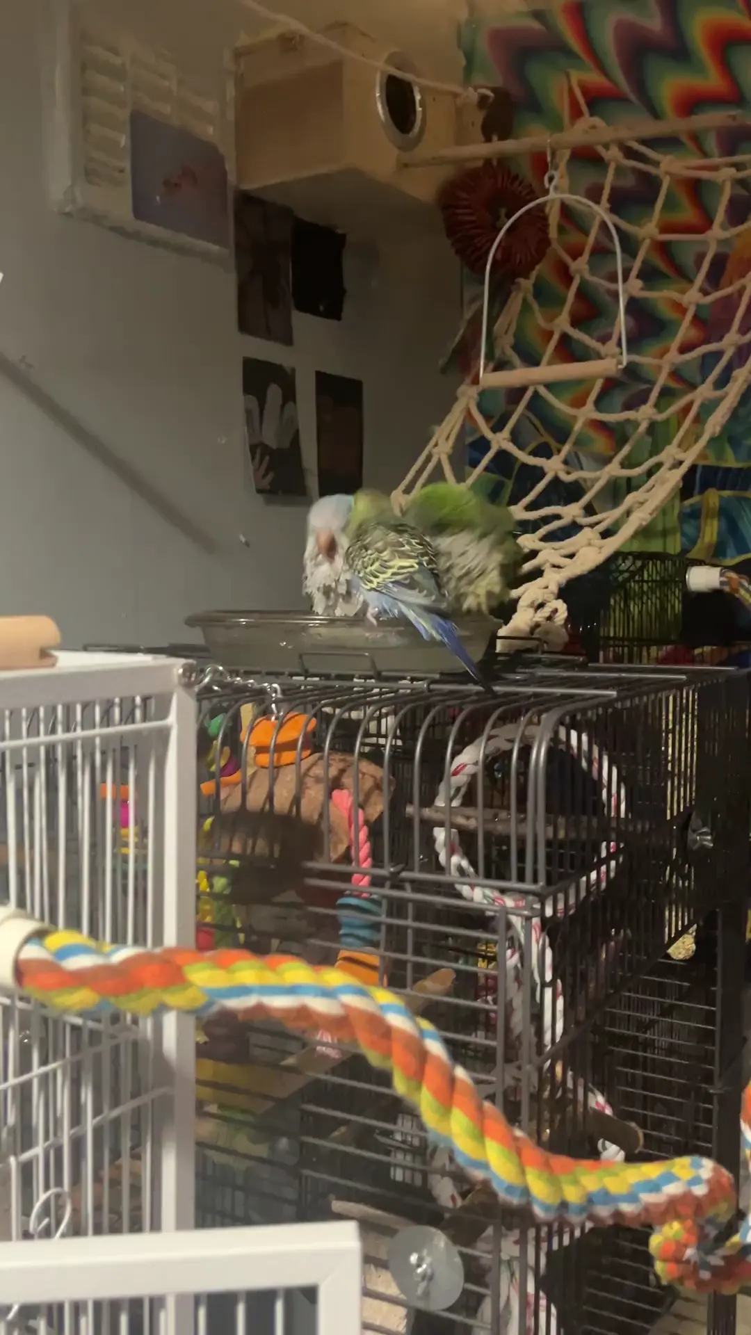 First bath together!  