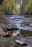 First cinemagraph from a hike i did
