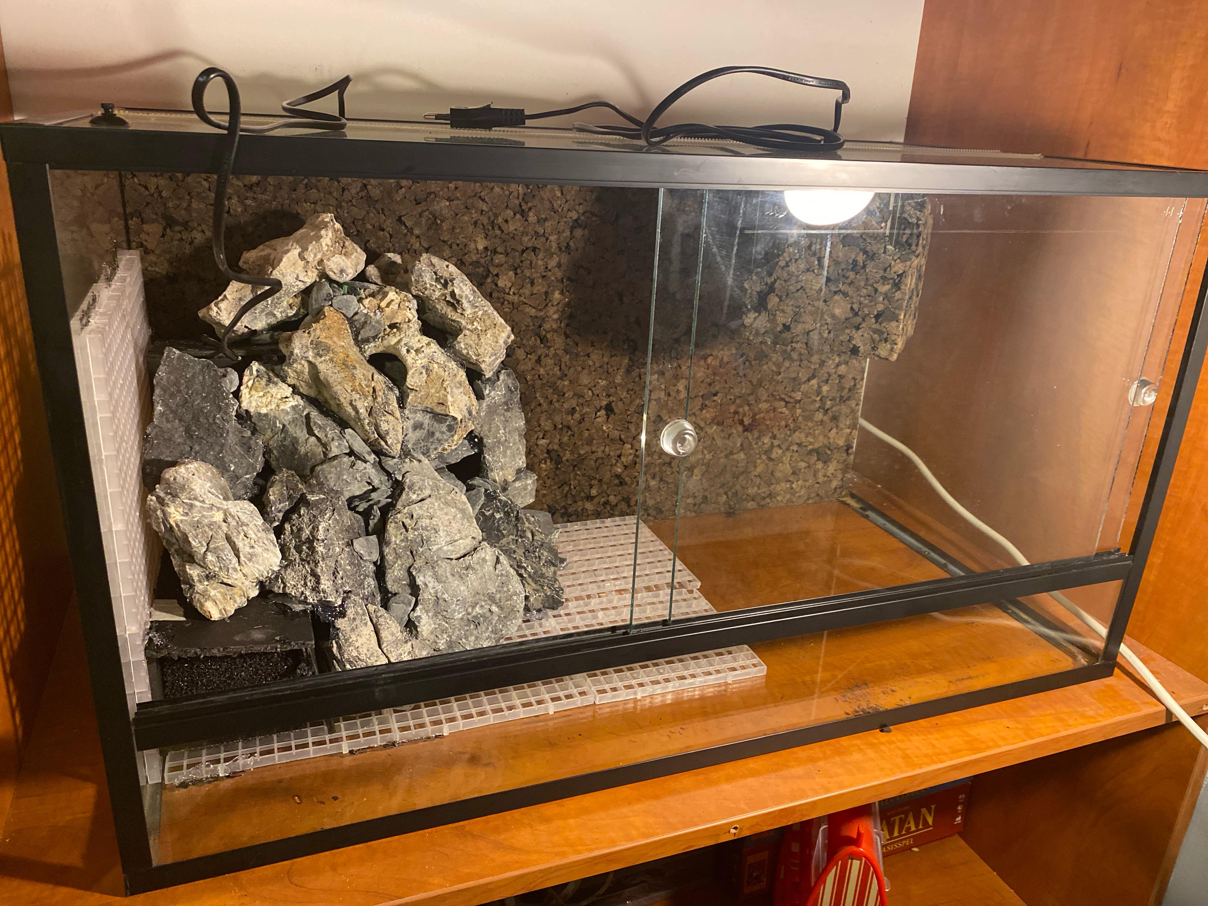 First Paludarium Scrolller