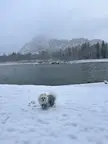 First snow in his life
