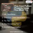 Five Cool Python Projects Ideas You Must Try