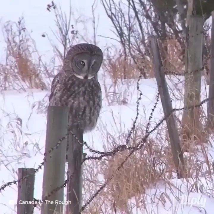 Flight.exe failed unexpectedly