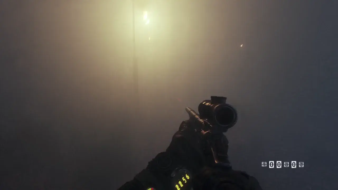 Fog bug during the cemetery fight with the Master