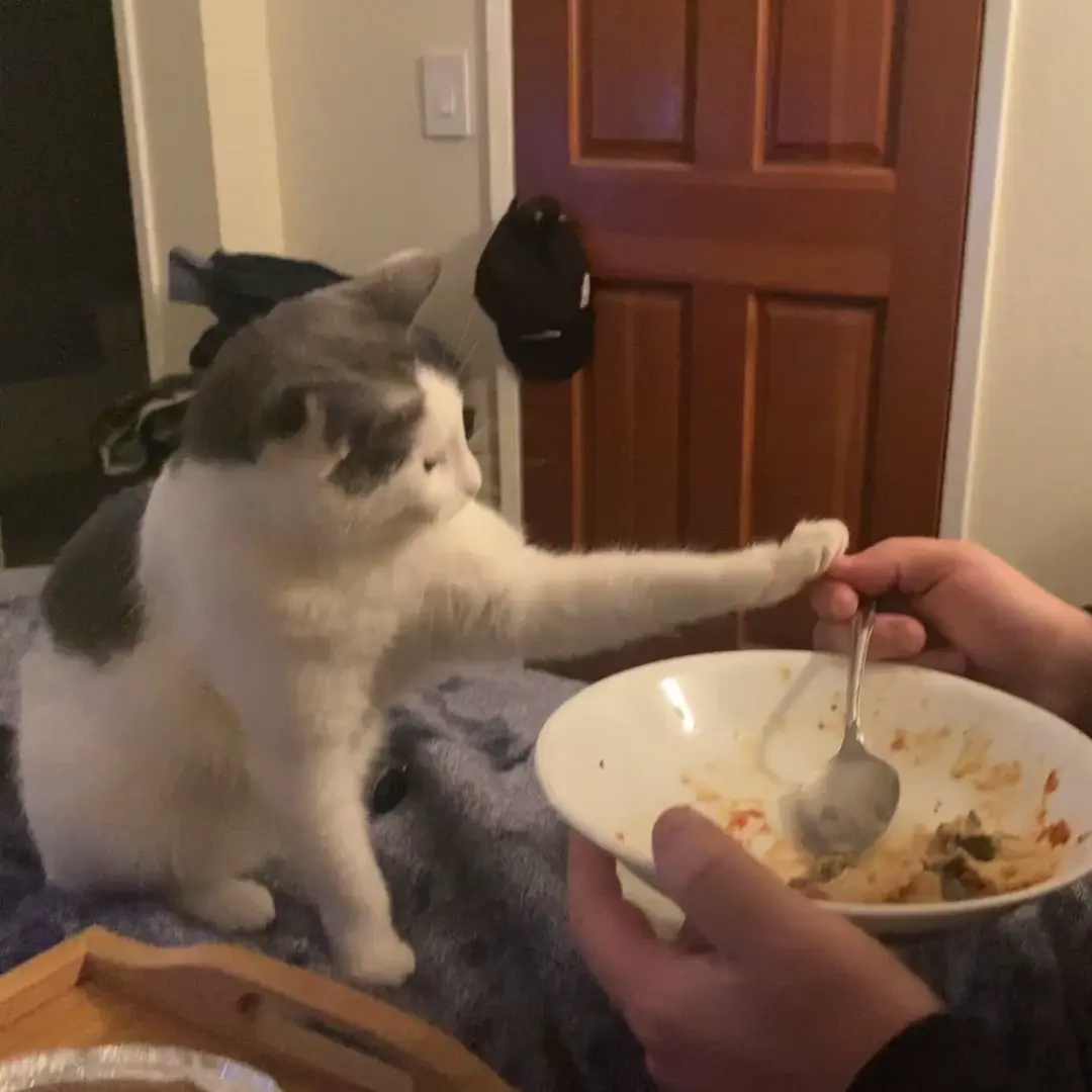 Food taps