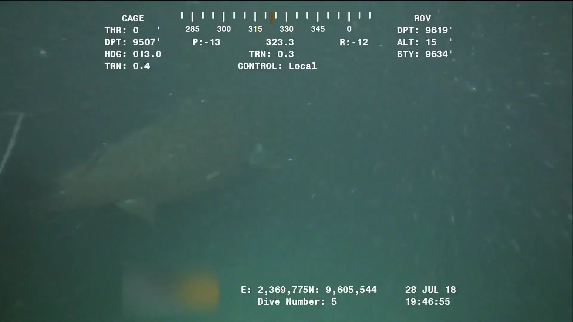Footage of a Greenland/Sleeper Shark near an Oil Rig