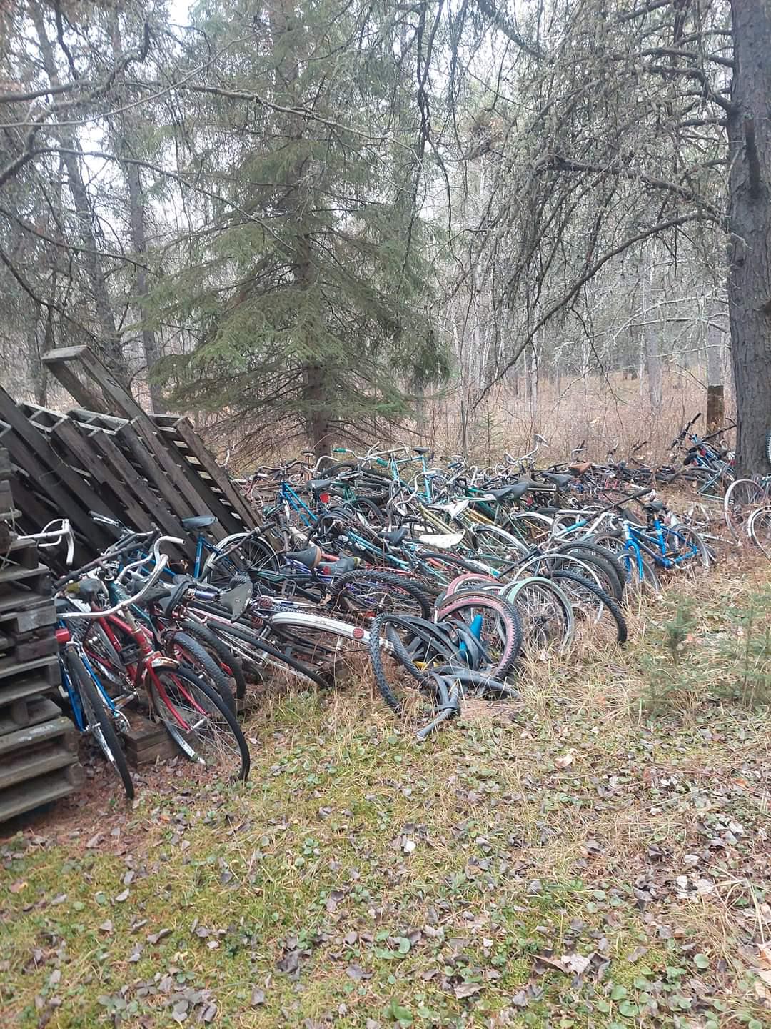 Forgotten bikes