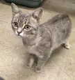 Found in a refinery. Will take him home.