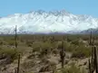 Four Peaks Arizona