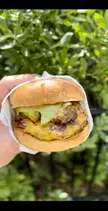 Fresh Burger