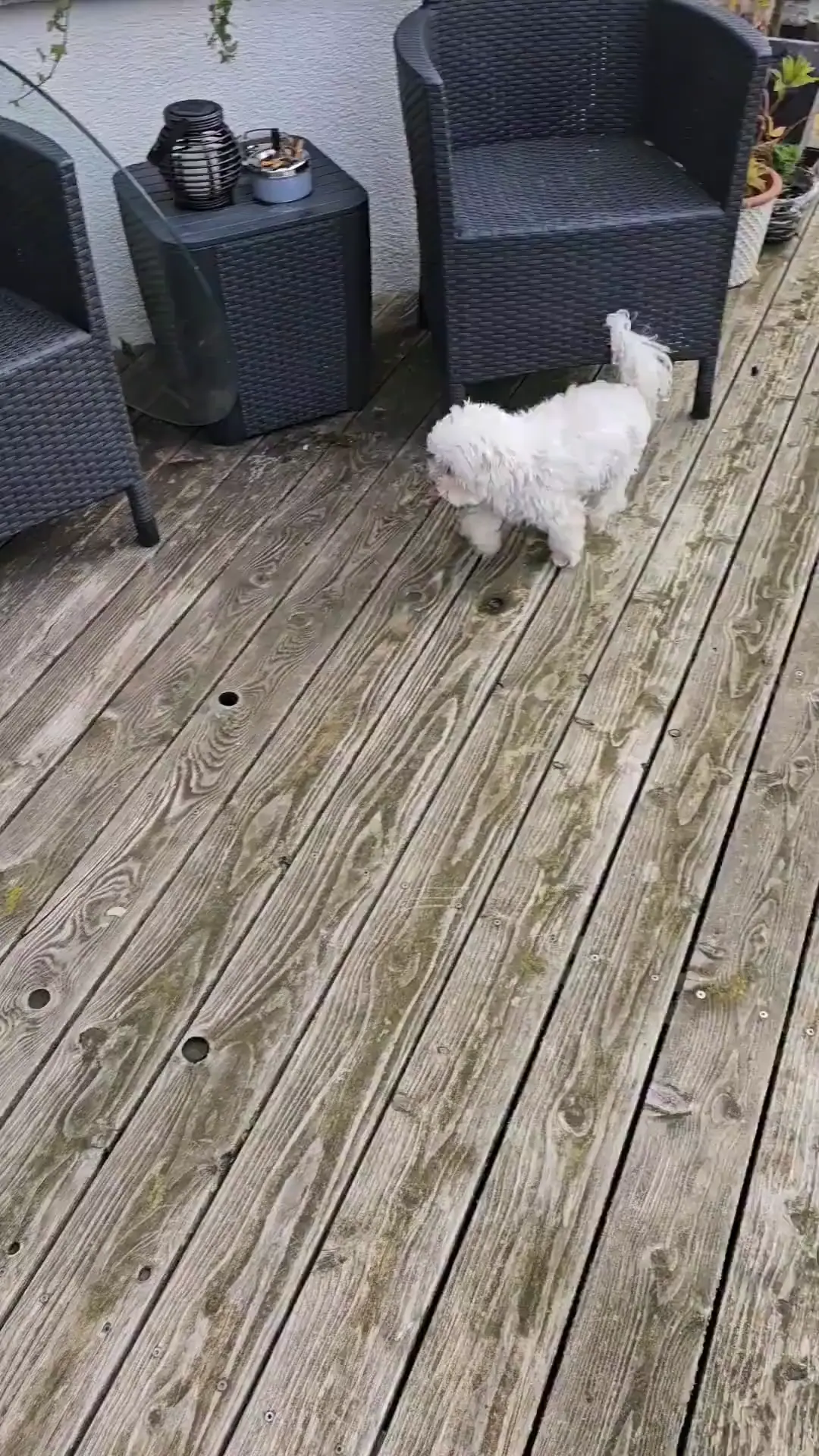 Friday Gifs