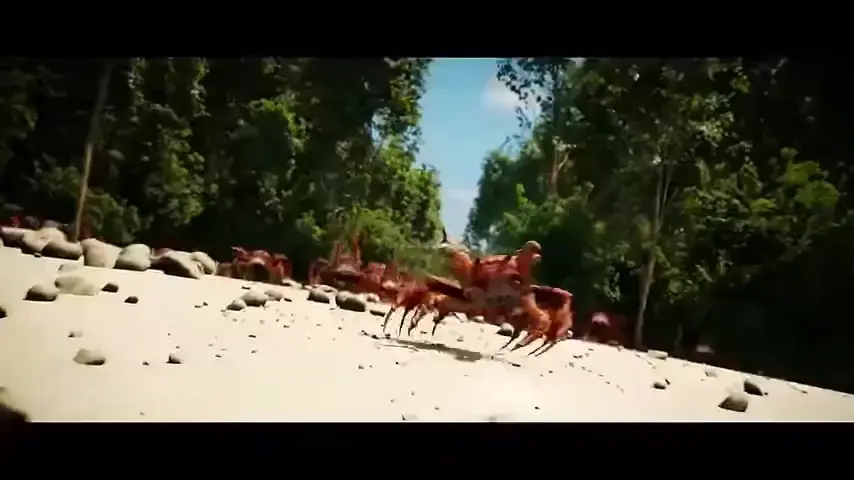 full punjabi movie free download 4k 60fps