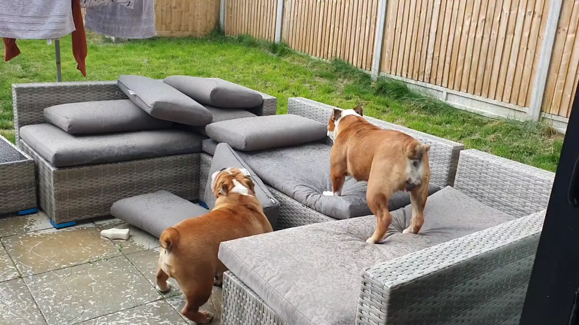 Fun in the rain