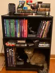 Gaming reference bookshelf complete!