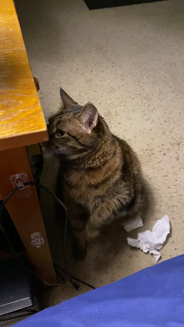 Garbage Taps