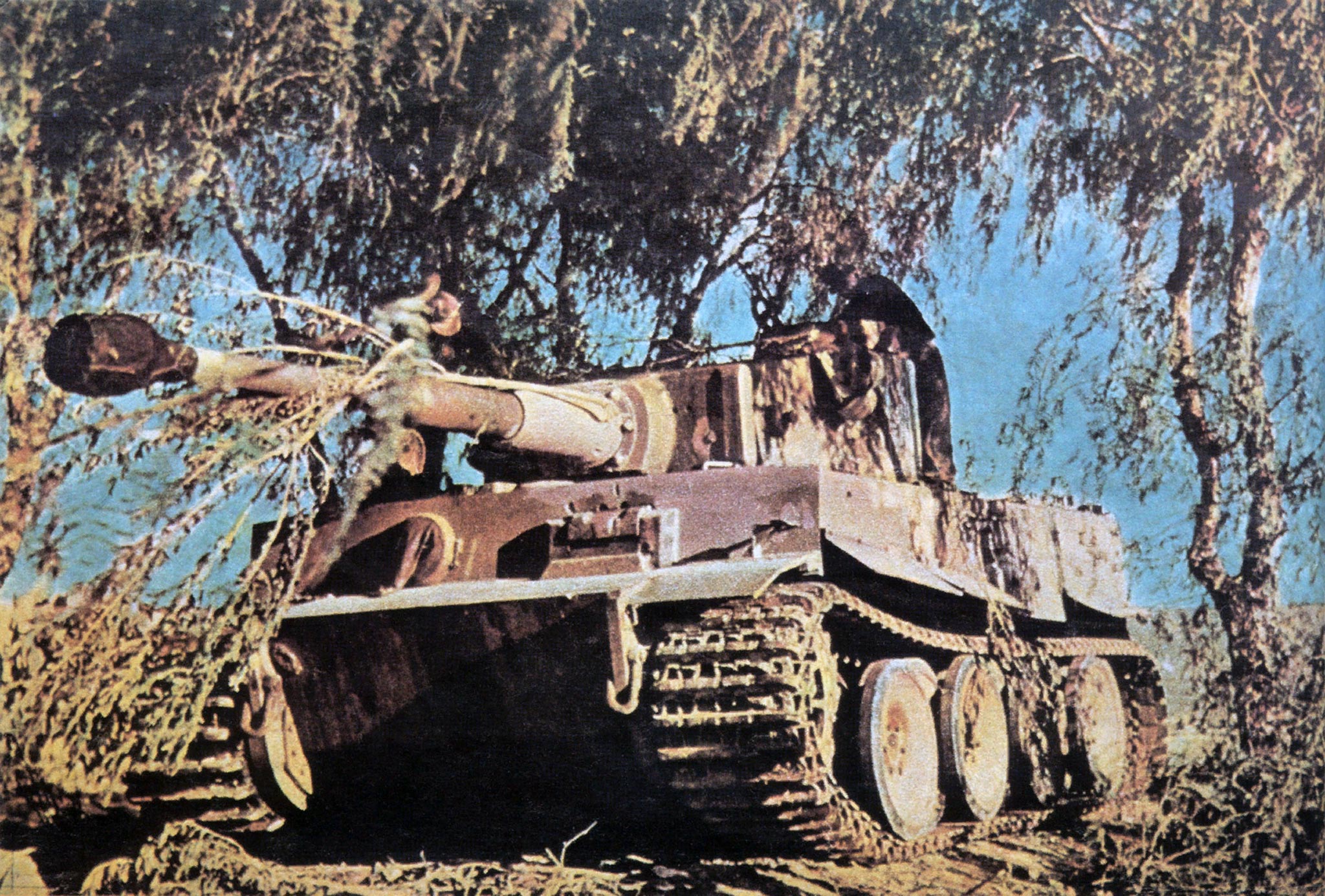 German Tiger I From The St Heavy Panzer Battalion In Tunisia