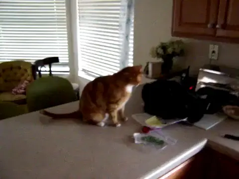 Get Your Own, This Is My Stash