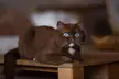 Getting sucked in by those ocean eyes