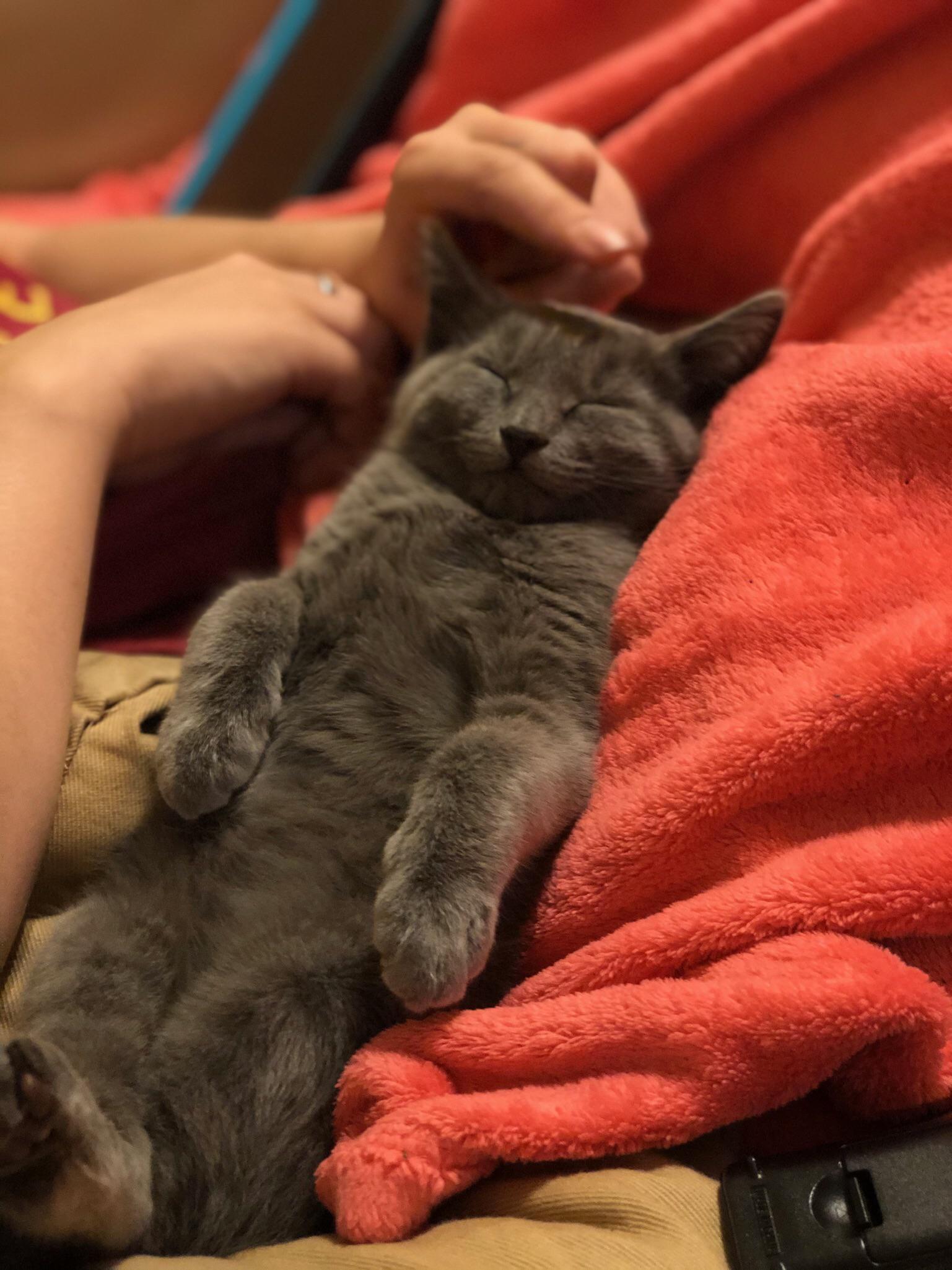 getting-used-to-napping-on-her-back-scrolller