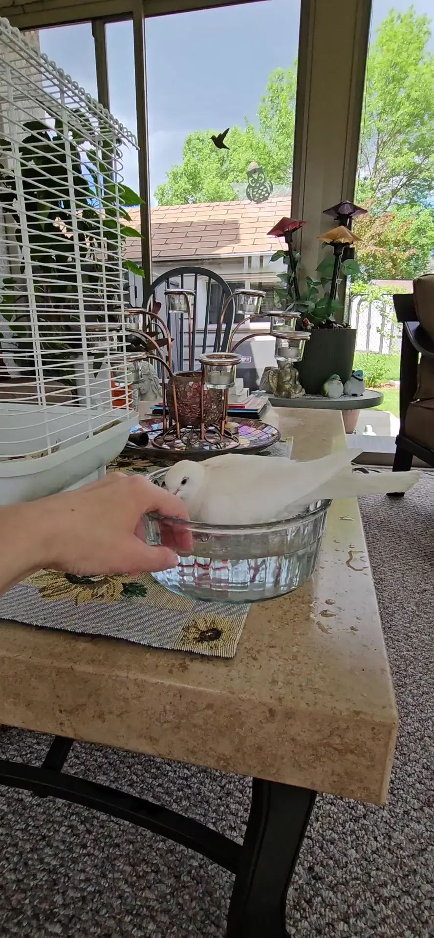 Giggles cute bathing 🛁 