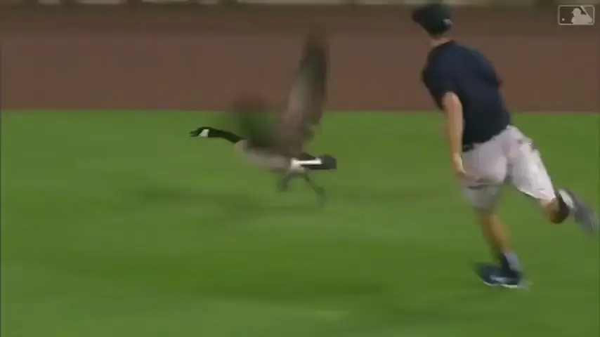 Give this man a raise